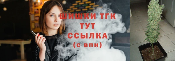 индика Каменка