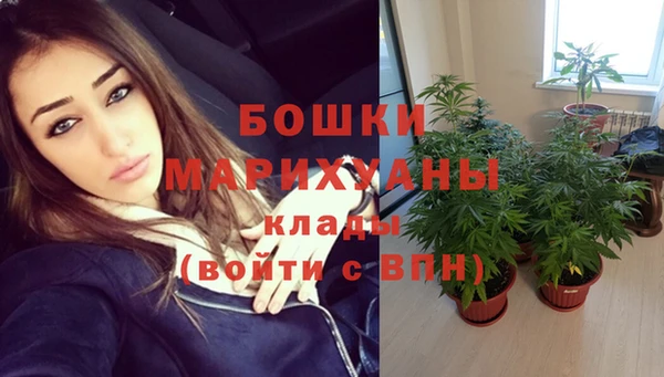 прущая мука Инта